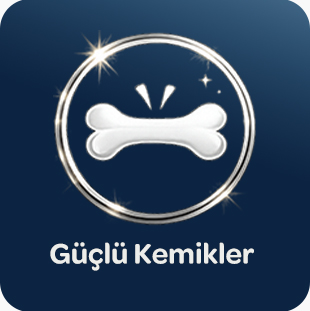 Güçlü-kemikler.jpg